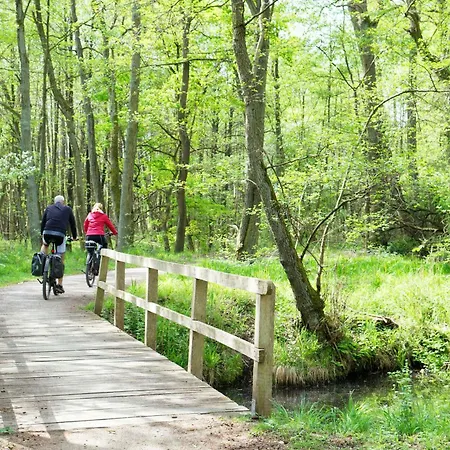 Marienkaefer - Ruhe Am Stadtrand